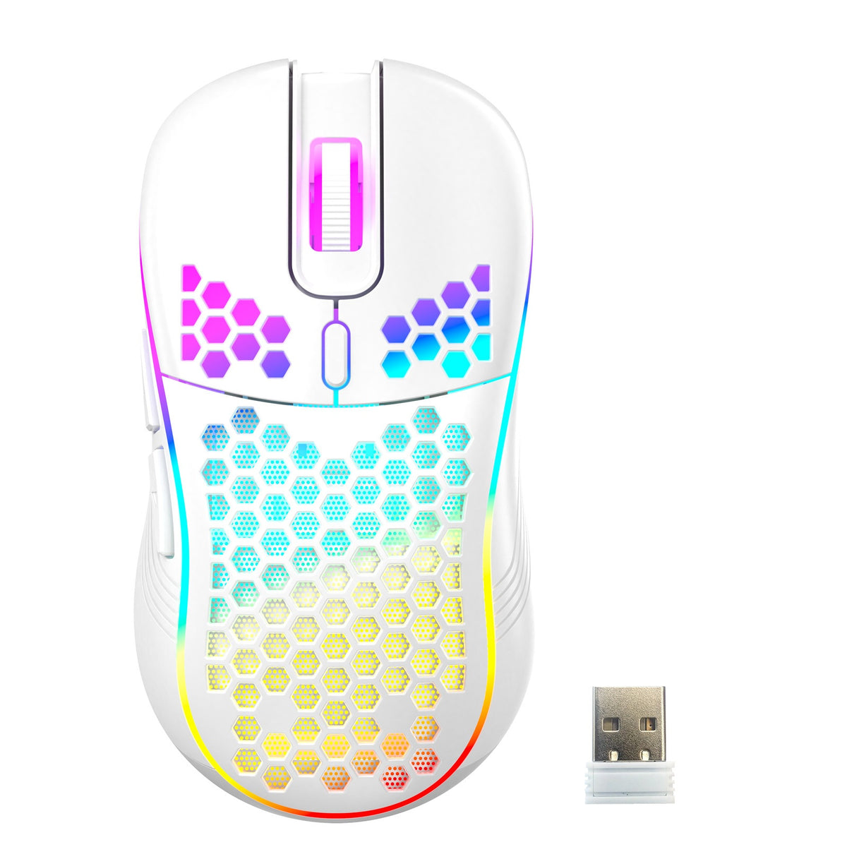 Raton Gaming Led