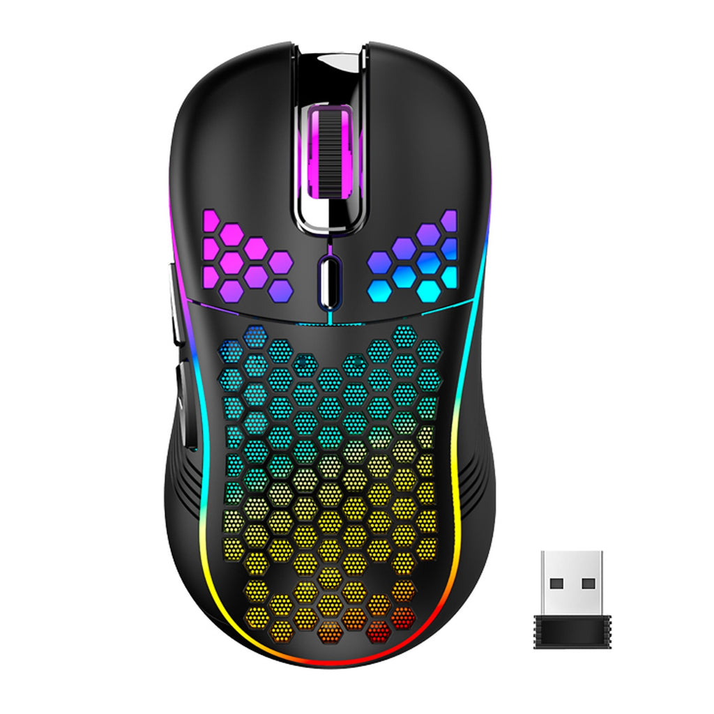 Raton Gaming Led